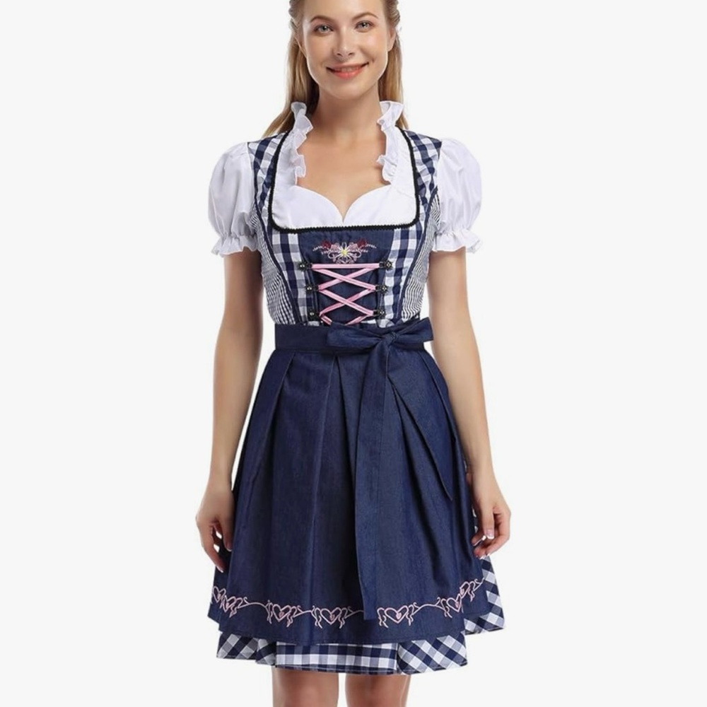 Blue and White Dirndl Dress with Pink Accents
